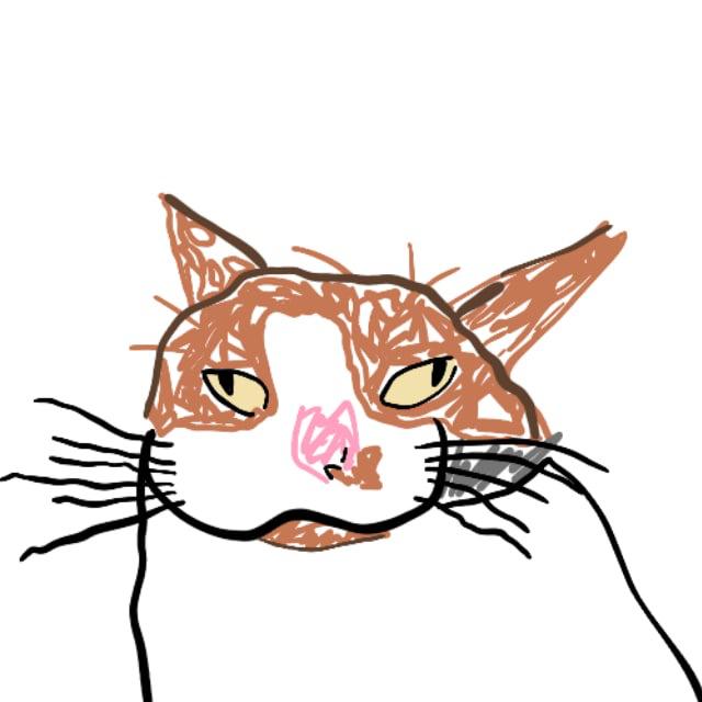 Walter, a hand-drawn orange and white cat